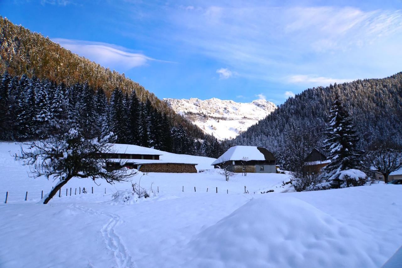 La Grange Au Ruisseau Villa Bellecombe-en-Beauges Luaran gambar